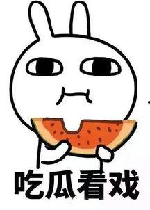 娱乐吃瓜酱做题